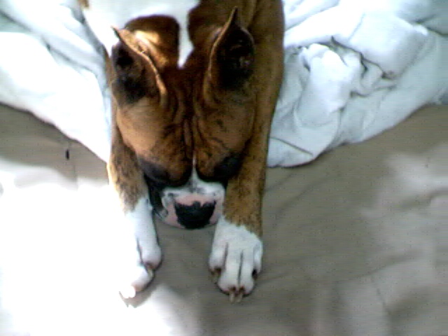 pic0168.jpg